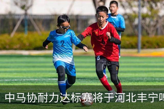 中马协耐力达标赛将于河北丰宁鸣枪 数十家专业马术俱乐部角逐
